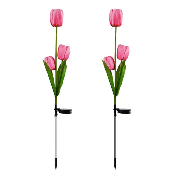SolarEra SolarPowered Tulip Flower Lights Illuminate Garden with Eco